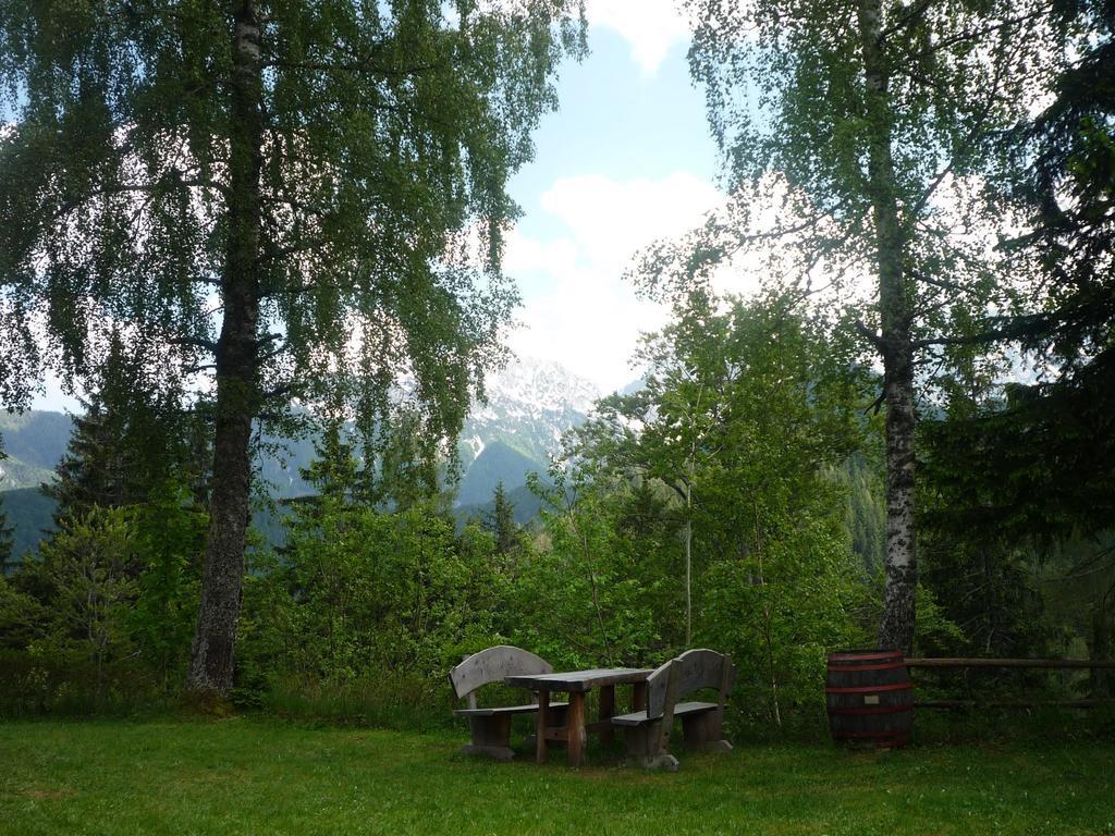 Guesthouse Planinski Dom Majerhold Solčava Exteriör bild