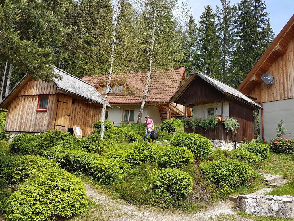 Guesthouse Planinski Dom Majerhold Solčava Exteriör bild