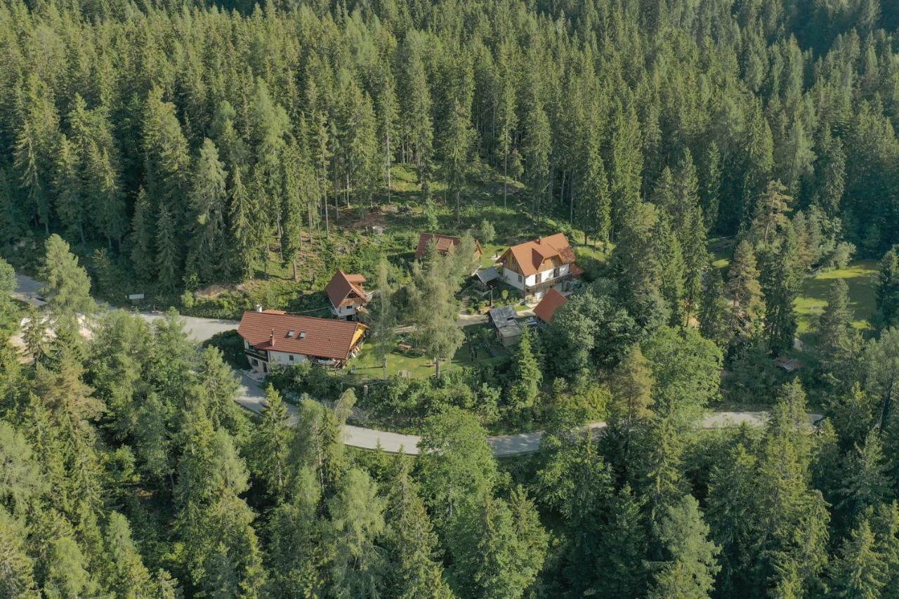 Guesthouse Planinski Dom Majerhold Solčava Exteriör bild